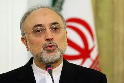 صالحی: بازرس باید قابل اعتماد باشد