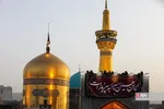 صضثضصثصض