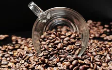 دانه قهوه ریسک ابتلاء به دیابت را کاهش می‌دهد