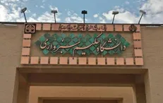 مقاله دانشجوی دانشگاه حکیم سبزواری در مجله انجمن شیمی آمریکا منتشر شد
