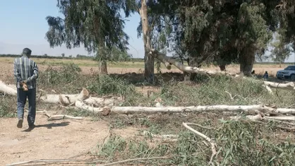 توقیف ادوات جرم و بازداشت ۲ متخلف در تالاب مهارلو