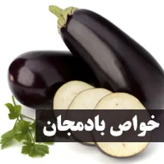 آشنایی با خواص و مضرات بادمجان