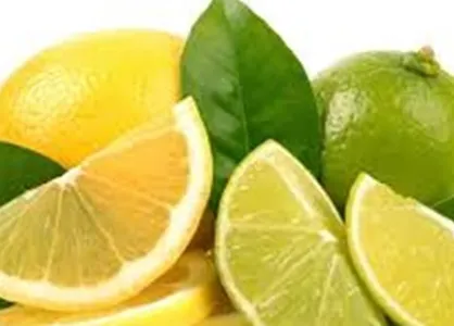 صادرات لیمو شیرین و ترش تا پایان اردیبهشت ممنوع شد +سند