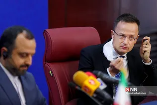 سیلذ
