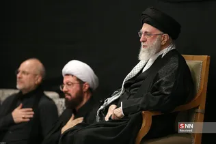 دبب