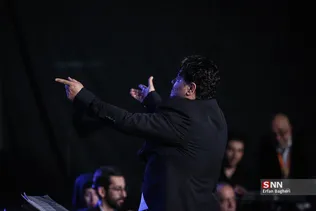 دبب