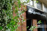 افتتاح پارک علم و فناوری دانشگاه شریف