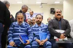 دادگاه موسسه 