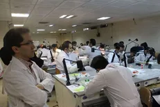 جزئیات طرح فارغ‌التحصیلی دستیاران بدون شرکت در آزمون گواهینامه اعلام شد