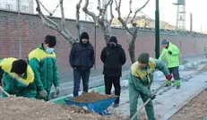 کاشت ۱۲۰۰ اصله نهال در حاشیه بزرگراه شهید دوران