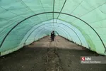 استقبال از بهار