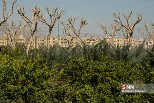 بوستان مینیاتور در منطقه بیست تهران