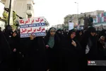 دبب