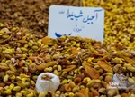 yalda