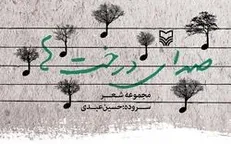 اشعاری از حسین عبدی در «صدای درخت ها»