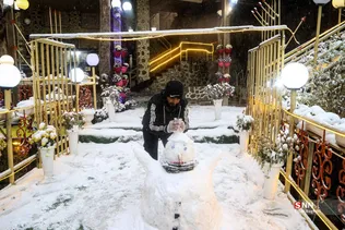 بارش برف در شمال شهر پایتخت