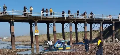 پاکسازی یکی از نقاط پرتردد تالاب بین المللی انزلی از گیاه مهاجم سنبل آبی