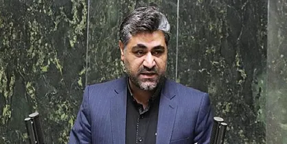 نخعی: پول گندمکاران پرداخت نشده است/ اگر این وضعیت ادامه داشته باشد حتماً امنیت غذایی کشور به مخاطره خواهد افتاد + فیلم