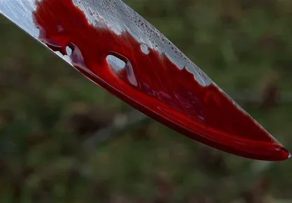 کشف جسد بانوی مفقود شده در لامرد/ ۲ مظنون دستگیر شدند
