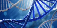 دوام ساختار‌های اوریگامی DNA با ترفندی تازه افزایش یافت