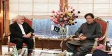 دیدار ظریف با عمران خان