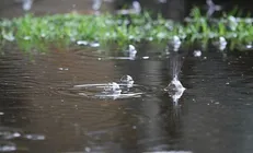 شمال ۱۰ درجه خنک می‌شود