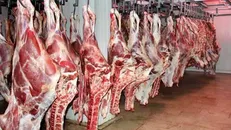 رایگانی: گوشت گوساله را با سه برابر قیمت واقعی به دست مردم می‌رسانند