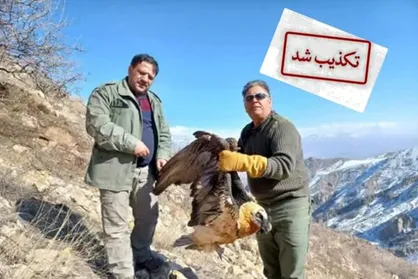 شکار همای سعادت در طالقان تکذیب شد
