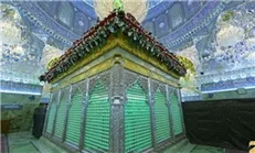 حرم مطهر امامین عسکریین(ع) گلباران شد + عکس