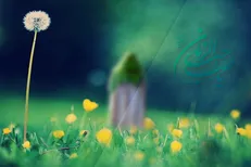 ای قامت بلند امامت