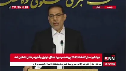 سخنگوی قوه قضائیه: در خصوص حادثه معدن دامغان تا کنون کسی بازداشت نشده اما بررسی پرونده همچنان ادامه دارد
