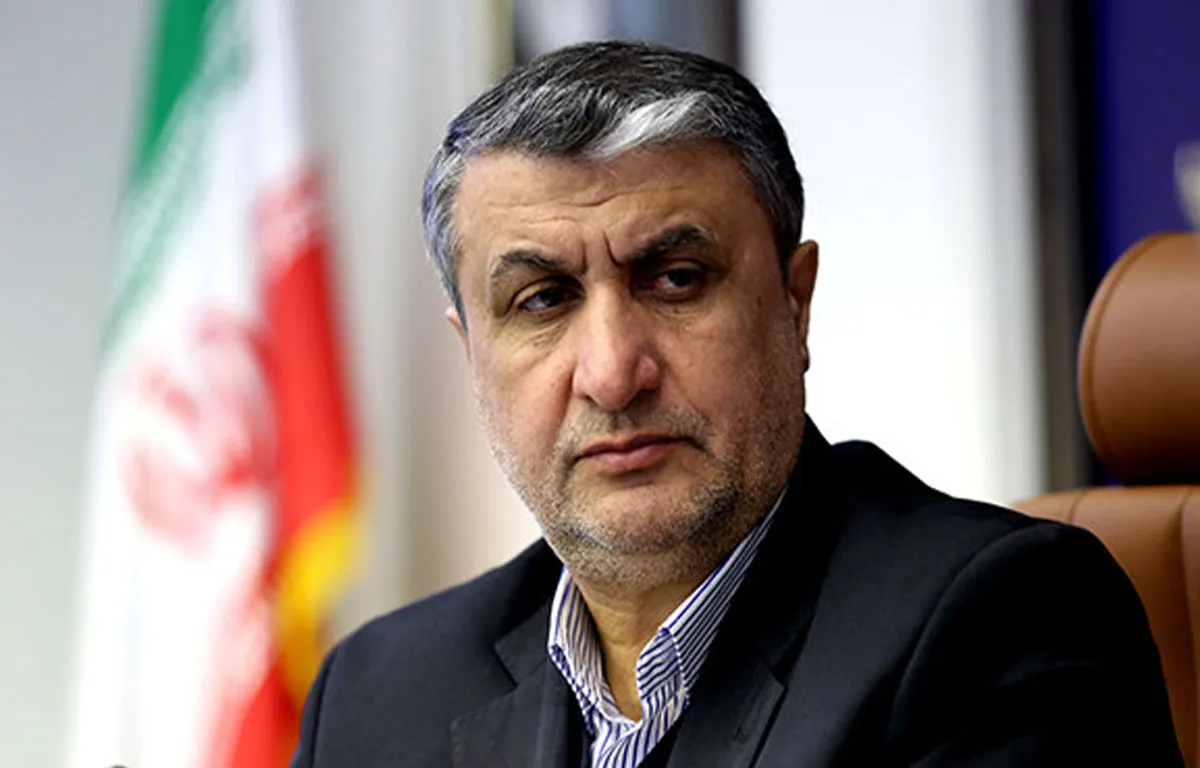 خیلی مذبوحانه از حضور من در کنفرانس وین جلوگیری کردند، اما در پایان آمریکایی‌ها مبهوت شدند