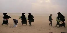 ۸۴ سوری حین فرار از دست داعش در بیابان‌ها جان باخته‌اند