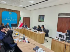 آماده‌سازی بسته‌های سرمایه‌گذاری حوزه سلامت در کرمان