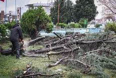 کشاورزان چقدر خسارت سیل دریافت می‌کنند؟