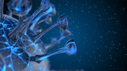 رونق تولیدات داخلی/ بازار خدمات نانویی ۱۳۰ درصد رشد کرد