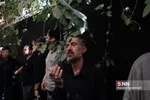 وحید1