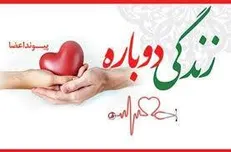 انجام ۲۱۵ مورد اهدای عضو در استان کرمان/ لزوم ترویج فرهنگ اهدای عضو