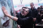 دبب