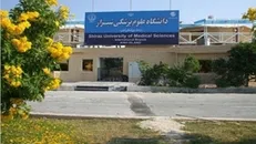 یک عضو خانم هیات علمی دانشگاه علوم پزشکی شیراز، استاد برتر شد