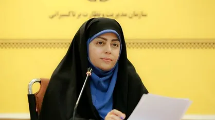 مالکی: تا اوایل سال آینده مدل فعالیت تاکسی&zwnj;های گردشی پایتخت تغییر می&zwnj;کند
