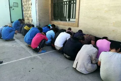 جمع&zwnj;آوری ۴۳ کارتن&zwnj;خواب در طرح آرامش بهارستان
