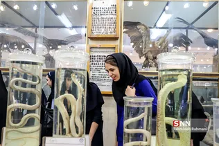 روزی با دانشگاه تهران