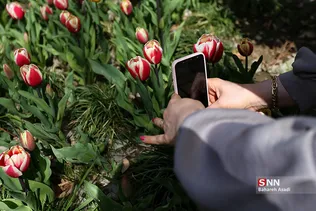 باغ ایرانی