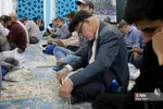دبب