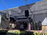 11dy