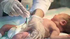 مشکلات دهان و دندان عامل بروز زایمان زودرس
