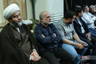دبب
