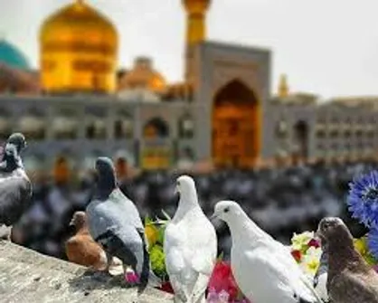 تاسوعا و عاشورای به مشهدمقدس سفر نکنید/ وضعیت شهر قرمز است