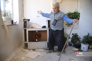 دبب